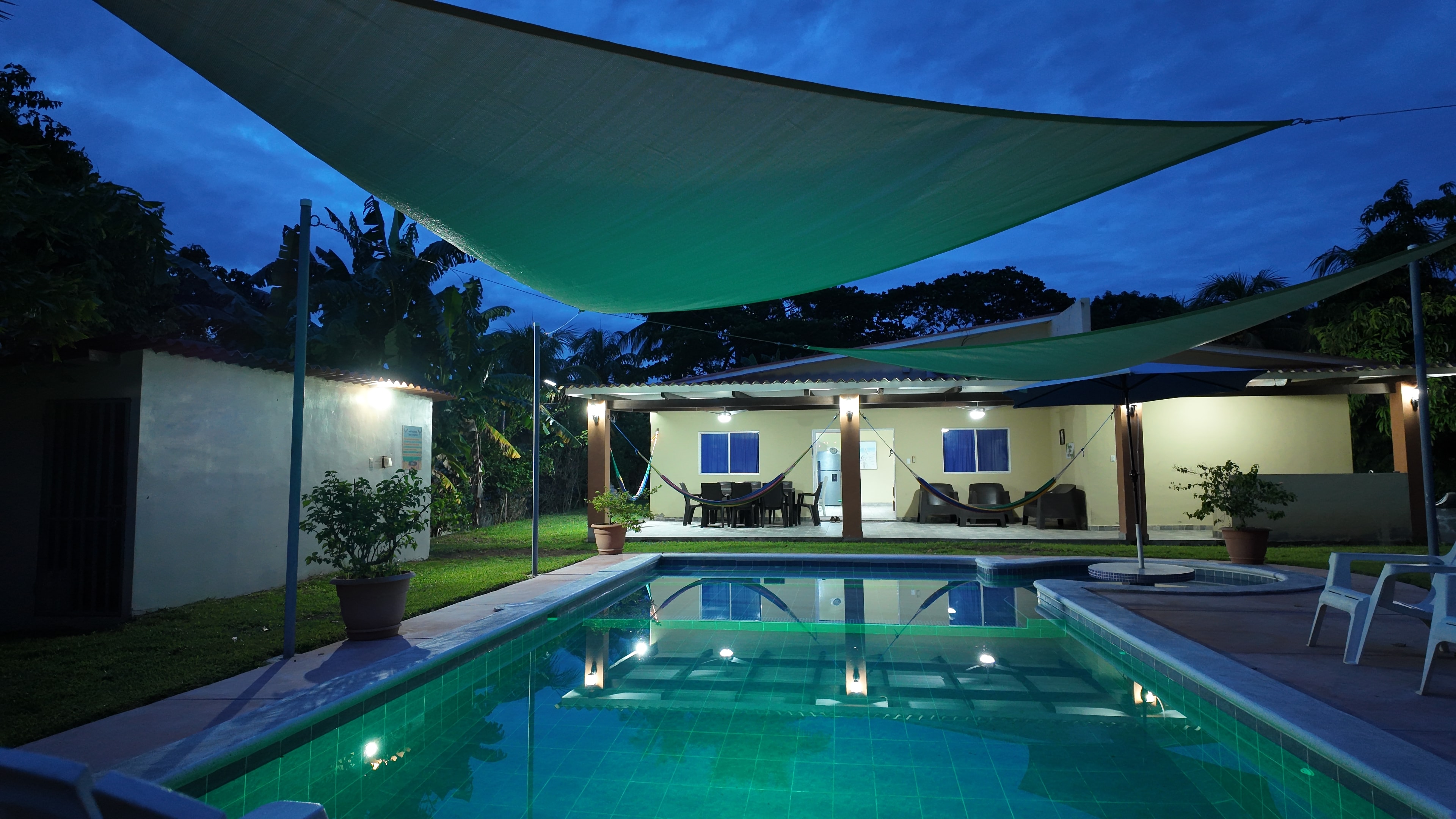 Swimming pool at dusk with green surroundings